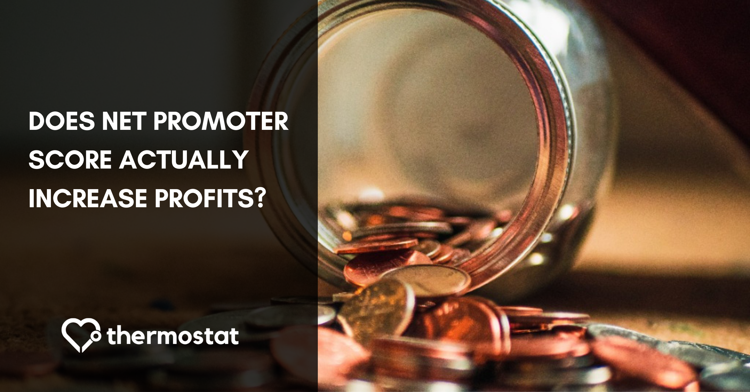 How is NPS Linked to Revenue? A Deeper Look at Net Promoter Score & Profits cover photo